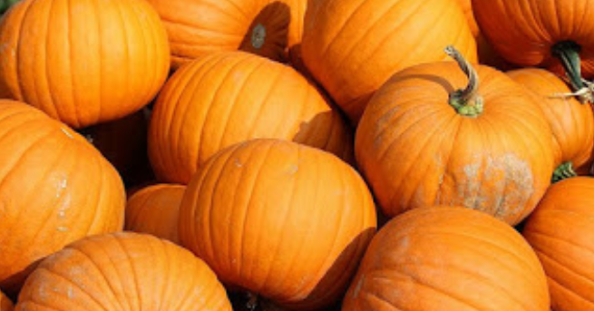 Health Benefits Of Pumpkin And It's Seed