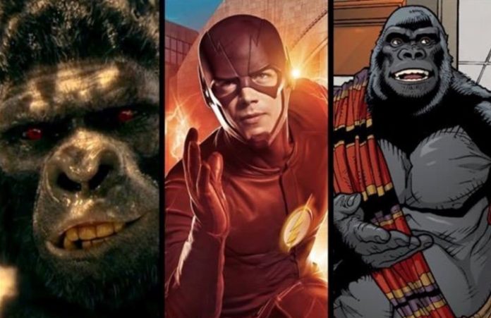 Planeta na TV DC: The Flash enfrentará os gorilas Grodd e Solovar no ...