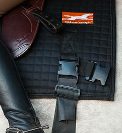 Equine Band System Conversion Kit - Convert A Saddle Pad To A Core