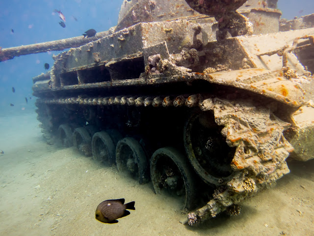 Aqaba Scuba Diving 8