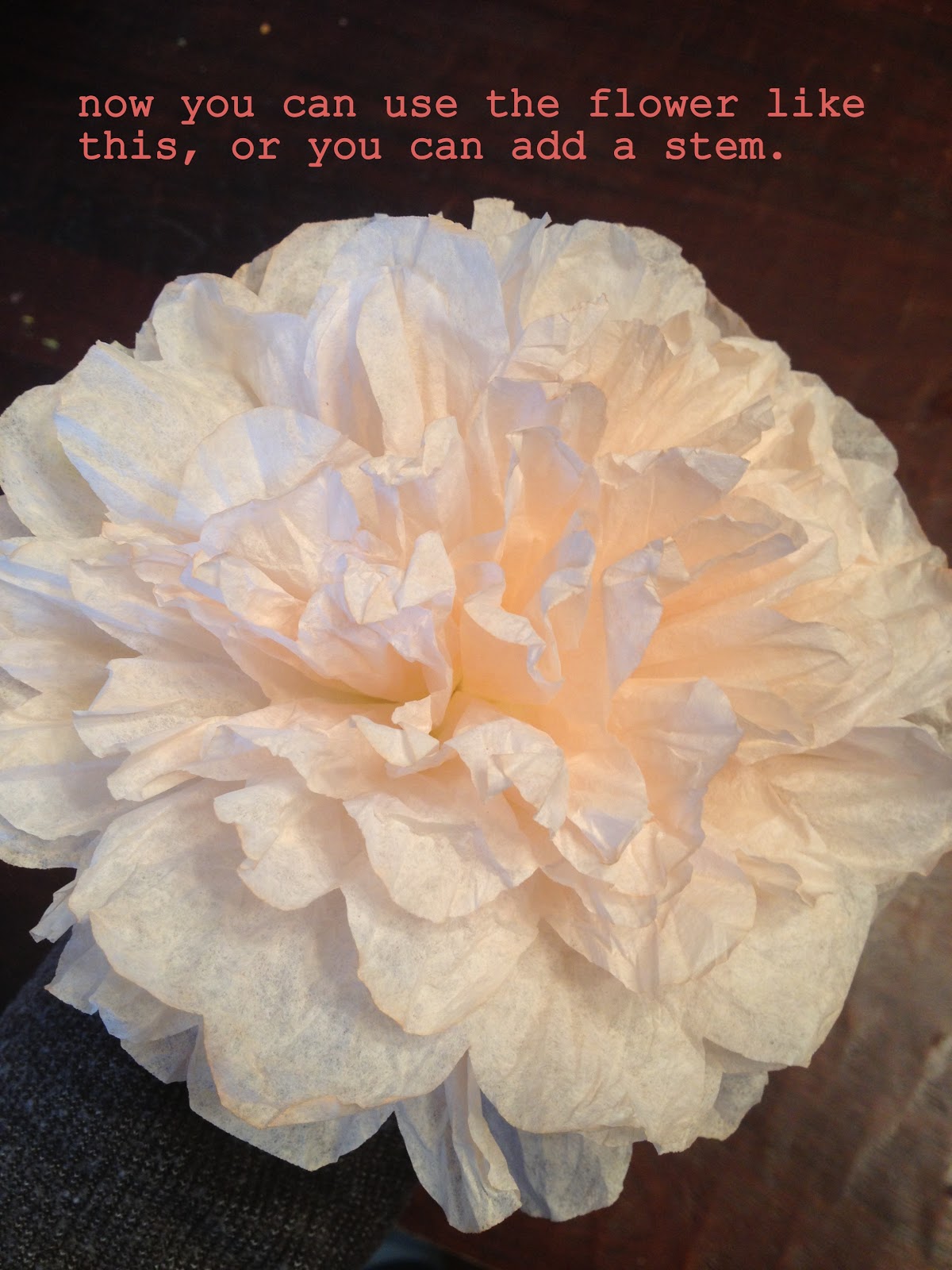 diddle dumpling Tutorial Coffee filter flowers