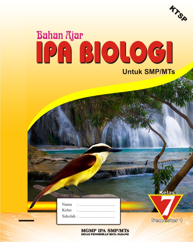 Design Grafis Cover Bahan Ajar SMP/MTs Kota Padang