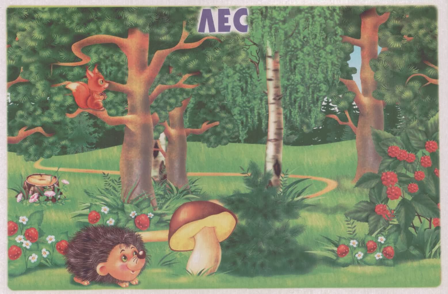 Полянка найти слова. Сюжетная картина в лесу. Сюжетная картинка в лесу. Изображения леса для занятий с детьми. Ежик в лесу для детей для занятия.