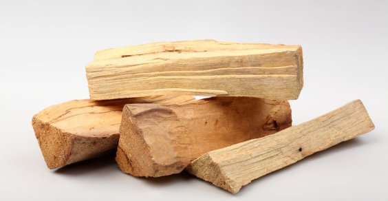 Che Legno è Il Palo Santo I Benefici del Palo Santo | Esoterika