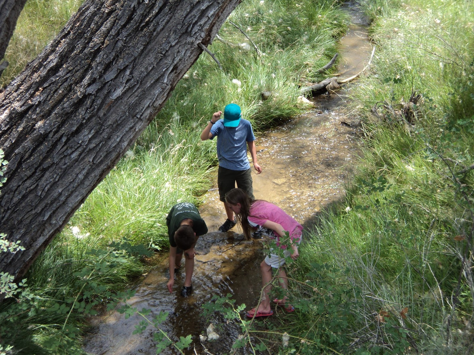 How Do You Spell Adventure? Mountain View Adventure The Backstory