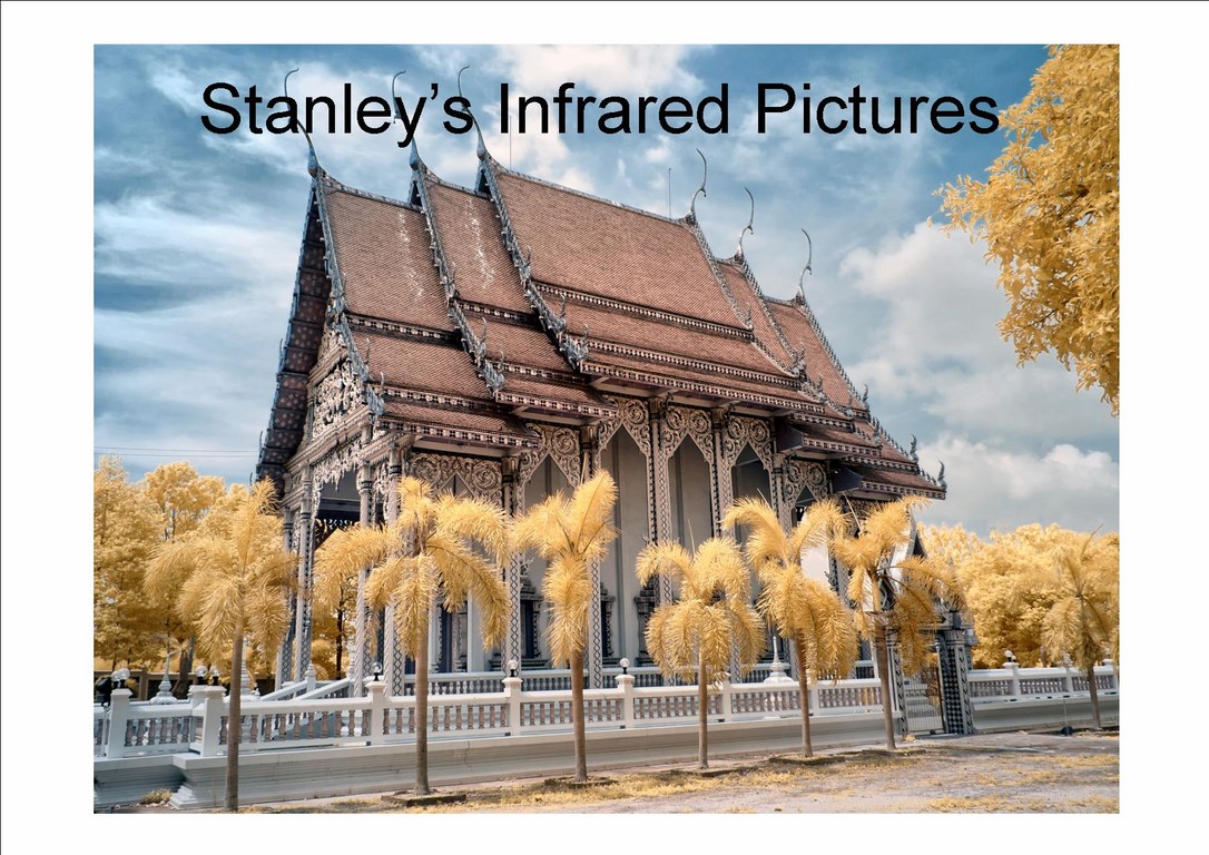 Stanley's Infrared Pictures