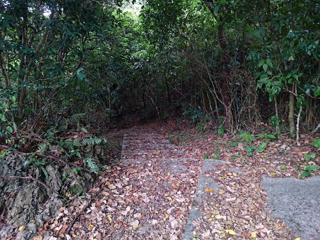 渡嘉敷グスク(渡嘉敷の嶽) 渡嘉敷グスク(渡嘉敷の嶽)の写真