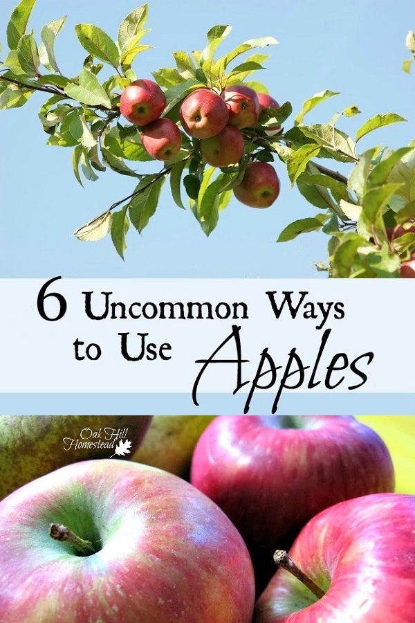 Ways to Use Apples Oak Hill Homestead