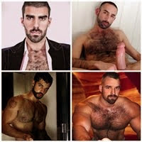 Bears with hairy chest