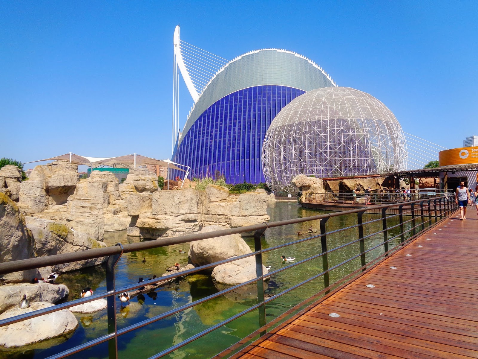 5 Amazing Things To Do In Valencia