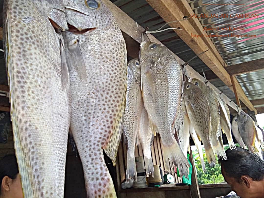 Amie S Little Kitchen Memburu Ikan Segar Di Kala Petang