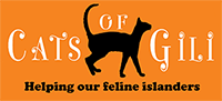 Support Cats of Gili