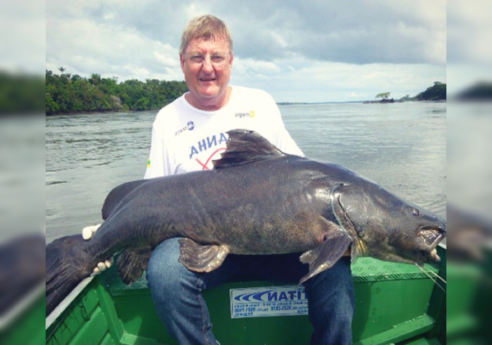 Gilded Catfish Si Lele Coklat Berbobot 50 Kilogram Nakama Aquatics