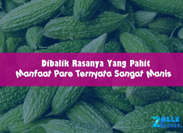 Dibalik Rasanya Yang Pahit Manfaat Pare Ternyata Sangat Manis Dibalik Rasanya Yang Pahit Manfaat Pare Ternyata Sangat Manis