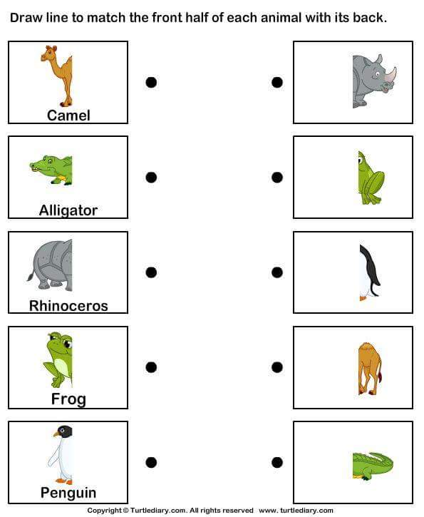 Horizontal vertical diagonal examples. Letter i worksheets for kids. Буква g worksheets. Letter k worksheet. Draw a line to match the words.