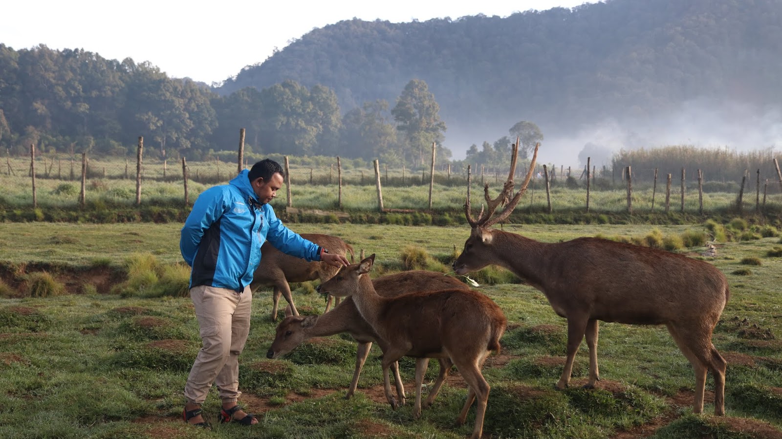 Tempat Wisata Ranca Upas - Tempat Wisata Indonesia