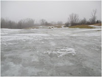 #5 Fairway Before 1/18/2017
