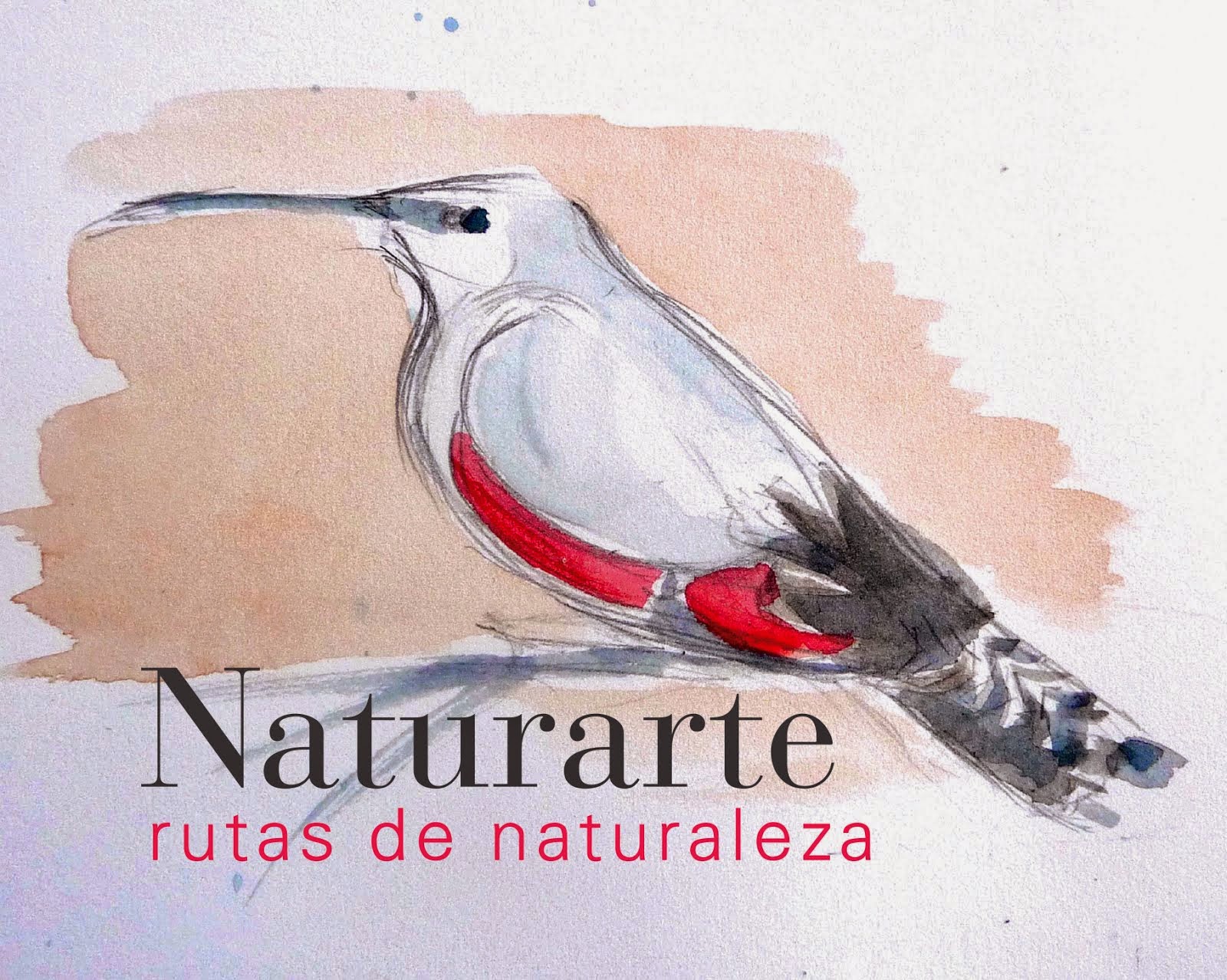 NaturArte