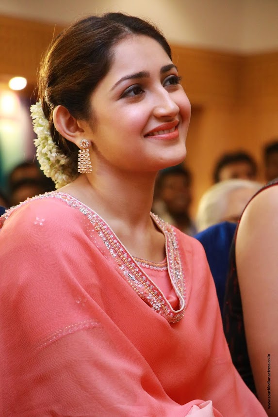 Sayyeshaa Saigal at Kadaikutty Singam Success Meet