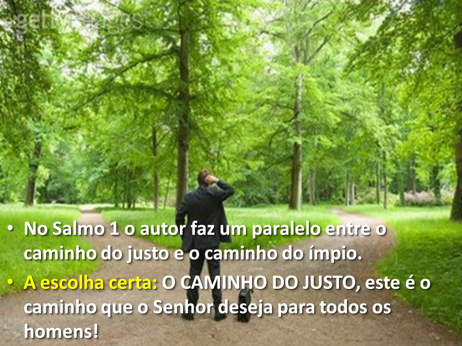 PREGUE A PALAVRA O CAMINHO DOS JUSTOS E O CAMINHO DOS IMPIOS. PREGUE A PALAVRA O CAMINHO DOS JUSTOS E O CAMINHO DOS IMPIOS.