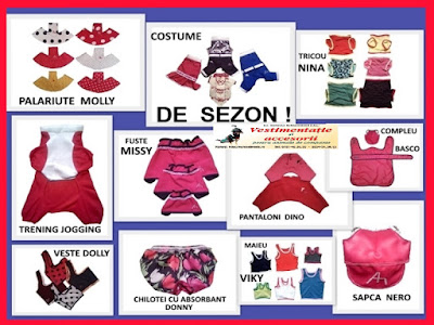 Oferte pentru Paste