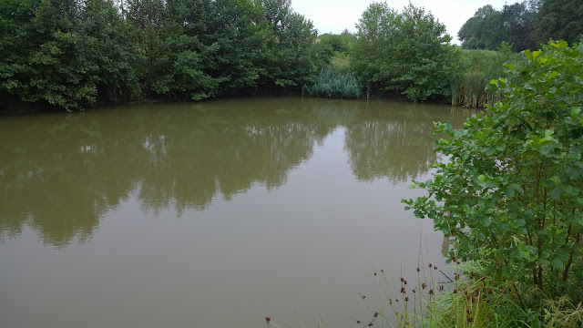 intakter Karpfenweiher im August (c) by Joachim Wenk 