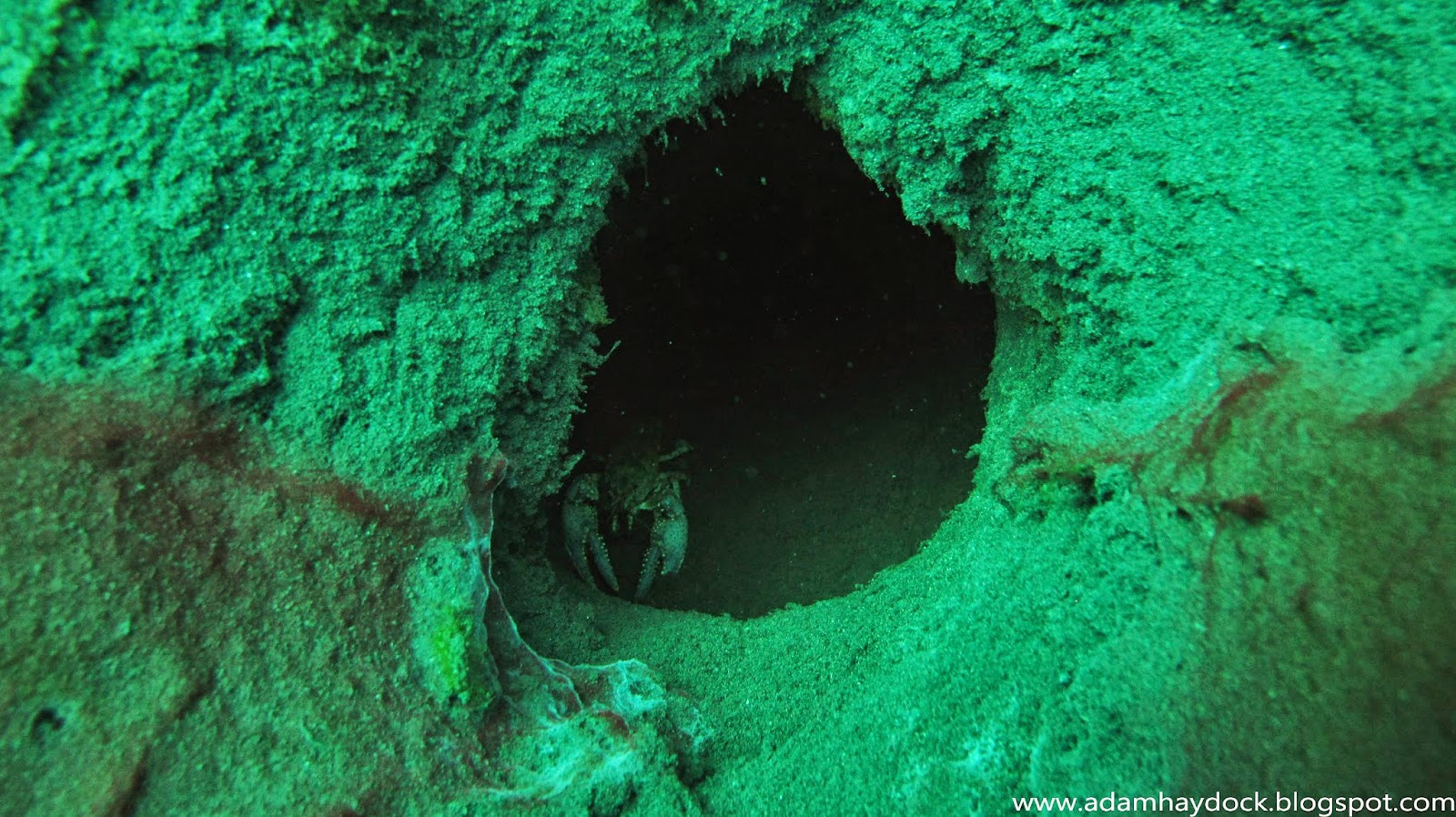 MIDDLE ISLAND UNDERWATER SINK RESURGENCE ADAM HAYDOCK