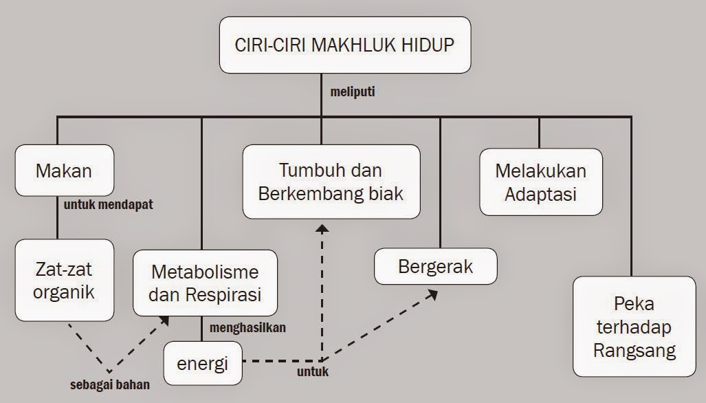 Ciri – Ciri Makhluk Hidup Beserta Gambarnya | Berpendidikan