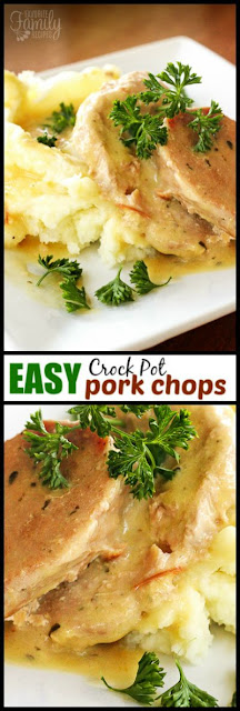 Easy Crock Pot Pork Chops 3 Ingredients