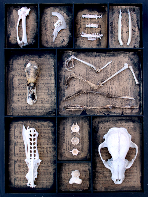 Found Bones - Nichola Battilana