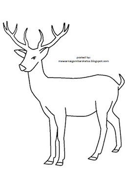 Mewarnai Gambar Mewarnai Gambar Sketsa Hewan Rusa 2 Mewarnai Gambar Mewarnai Gambar Sketsa Hewan Rusa 2