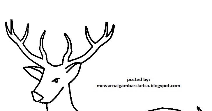 Mewarnai Gambar: Mewarnai Gambar Sketsa Hewan Rusa 2