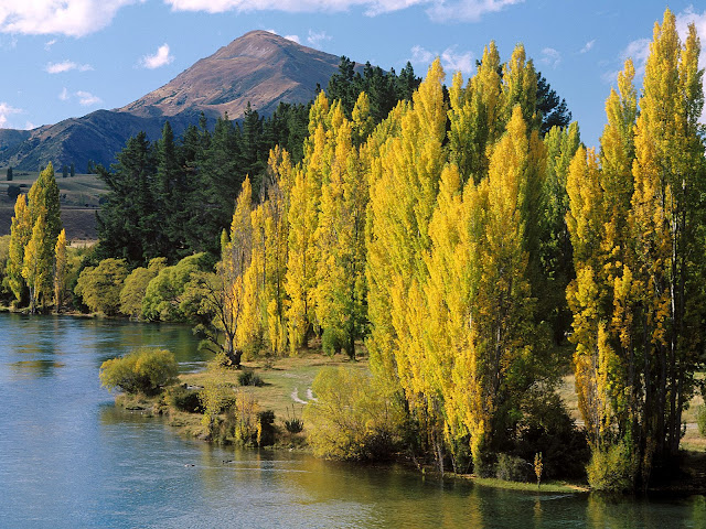 Naturaleza y Paisajes de Nueva Zelanda en HD
