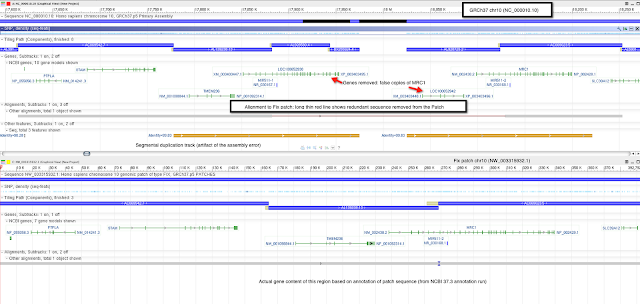 Alignment of FIX patch to chromosome for FAM23A_MRC1 region of chr10. Alignment of FIX patch to chromosome for FAM23A_MRC1 region of chr10.