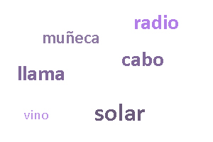Ejemplos de homógrafos Ejemplos de homógrafos