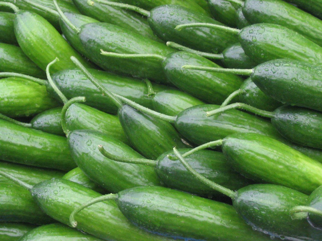 Vegetable Seeds Pakistan Hybrid Cucumber Seeds Superman