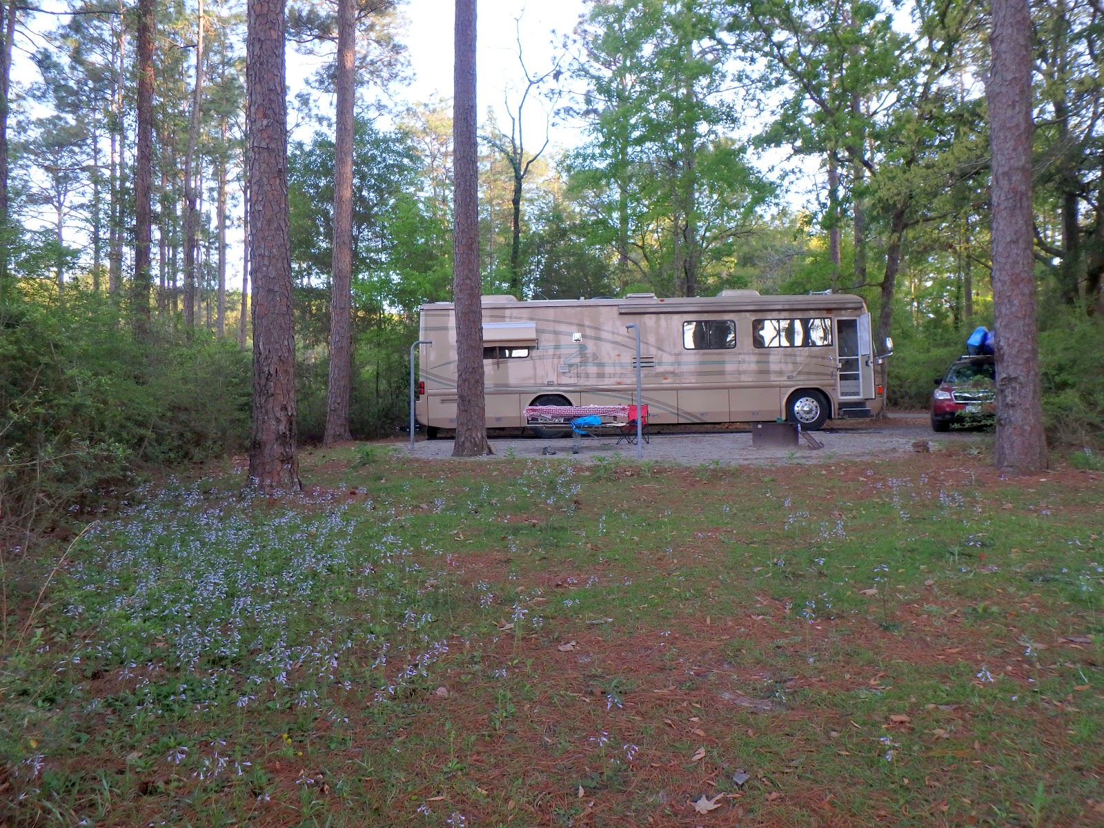 PAMPERED PENGUIN April 46, Open Pond campground , Alabama