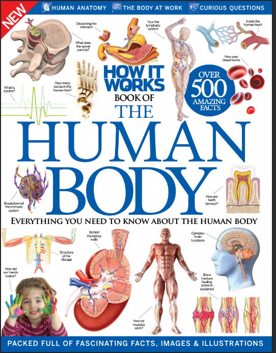 How It Works Book of the Human Body (2016) [PDF] Free Medical Books