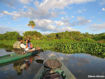 Observando aves no Lago de Palmas com caiaque. Foto: Gilson Afonso Observação de aves, observar aves, caiaque, observar aves com caiaque, aves do Tocantins, observar aves no Tocantins, Palmas, Aves de Palmas, Tocantins Birding, Natureza, Lago de Palmas, caiacar, fotografia de aves, fotos de aves, turismo fotos de pássaros, aves do Brasil