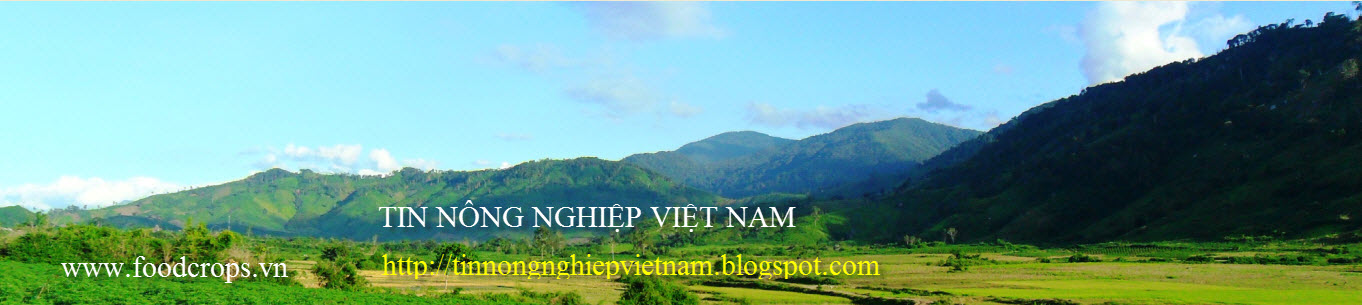 Tin Nông nghiệp Việt Nam