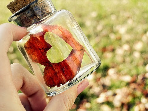 Pv Doc Por Um Sentimento Sem Rotulos pv doc blogger