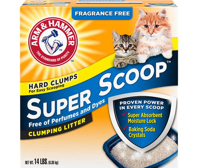FREE Cat Litter Free Samples & Freebies