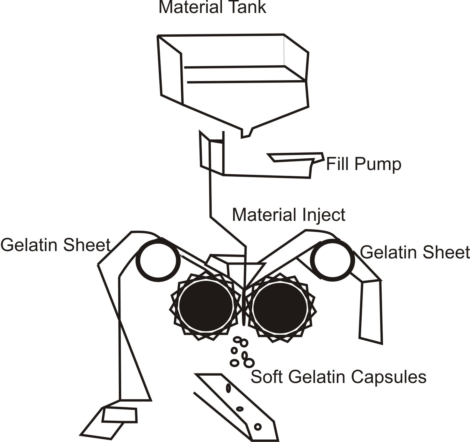 What is Capsule? Types and Sources of Capsules? How to differentiate