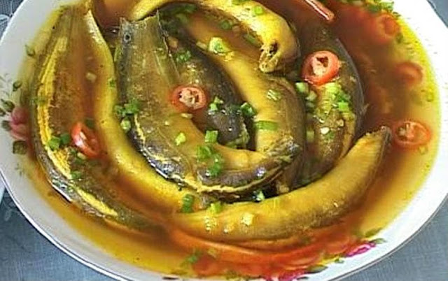 Các món ăn chữa bệnh suy nhược cơ thể Các món ăn chữa bệnh suy nhược cơ thể