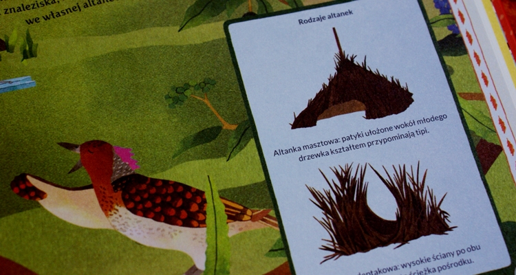 Atlas przygód zwierząt Atlas przygód zwierząt