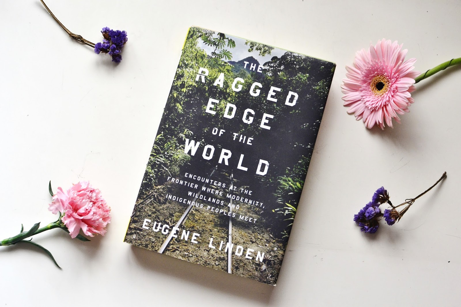 Favourite Books 2016 - Evetopia Favourite Books 2016 - Evetopia
