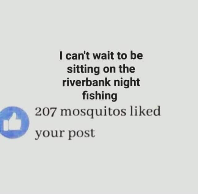 Fun8.jpg