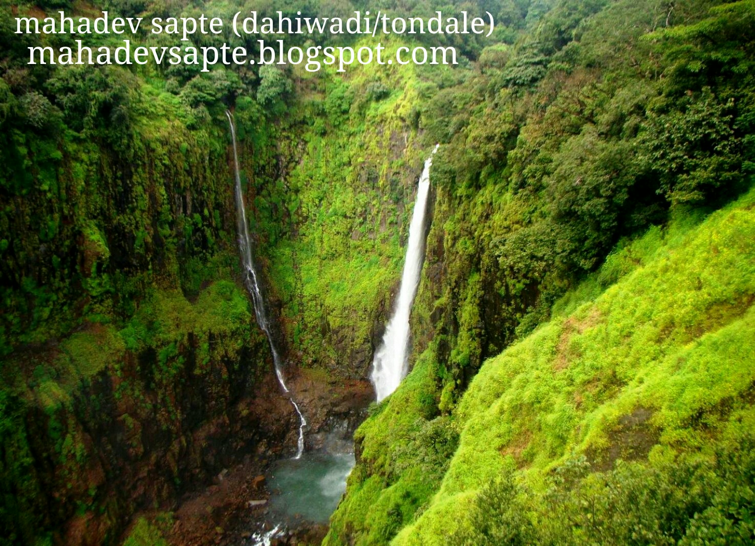 Kas Pathar Satara कास पठार Kaas Plateau (Valley of Flowers) Photos