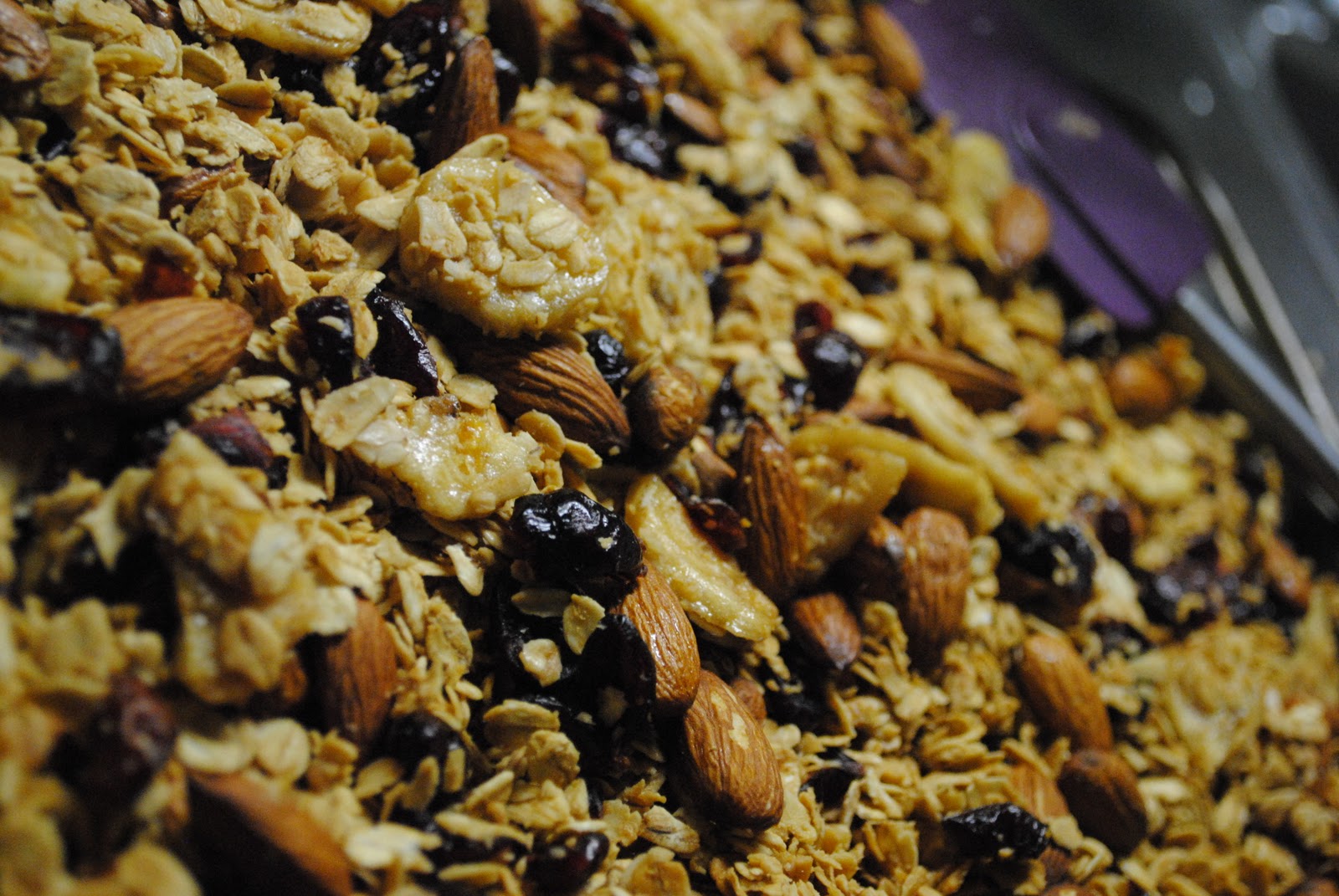 Apron Strings to Diamond Rings Homemade Granola Mix