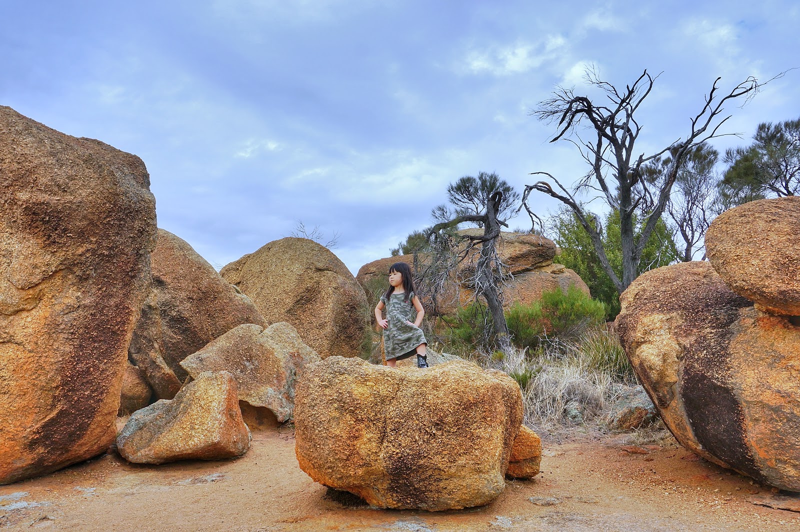 Perth Adventure - Full Day Wave Rock, York, Wildflowers & Aboriginal ...